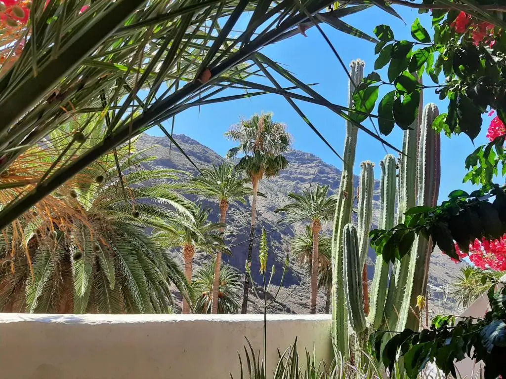 casa limon