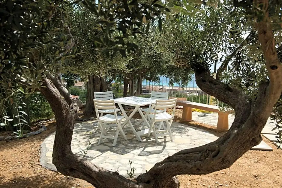 LUlivo Sul Mare