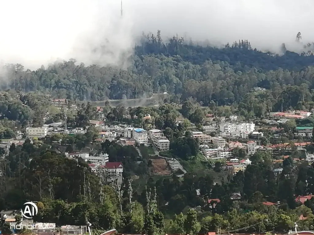 Misty Mountain