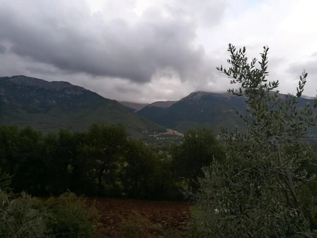Tenuta Castelli