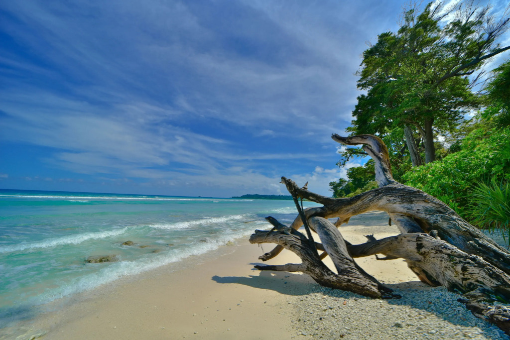 Sea Shell Samssara Resort
