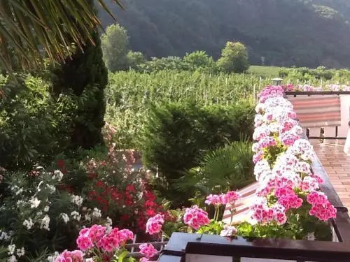 Hotel Appartement Lahngut