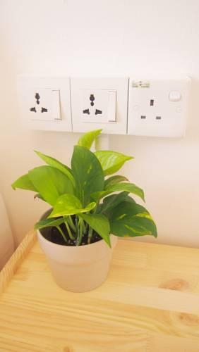 The Gatherings Place - Hostel