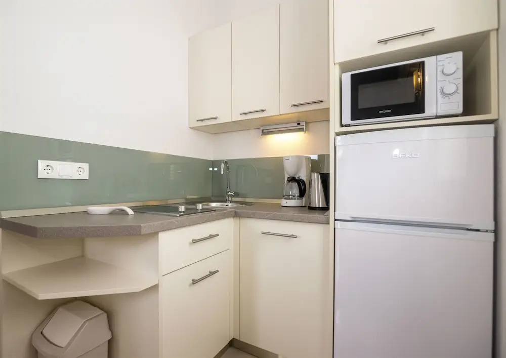 Apartments and Room Maestral
