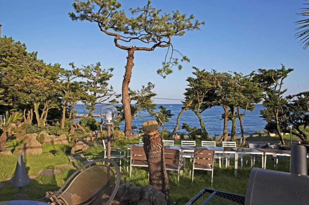 OROJEJU