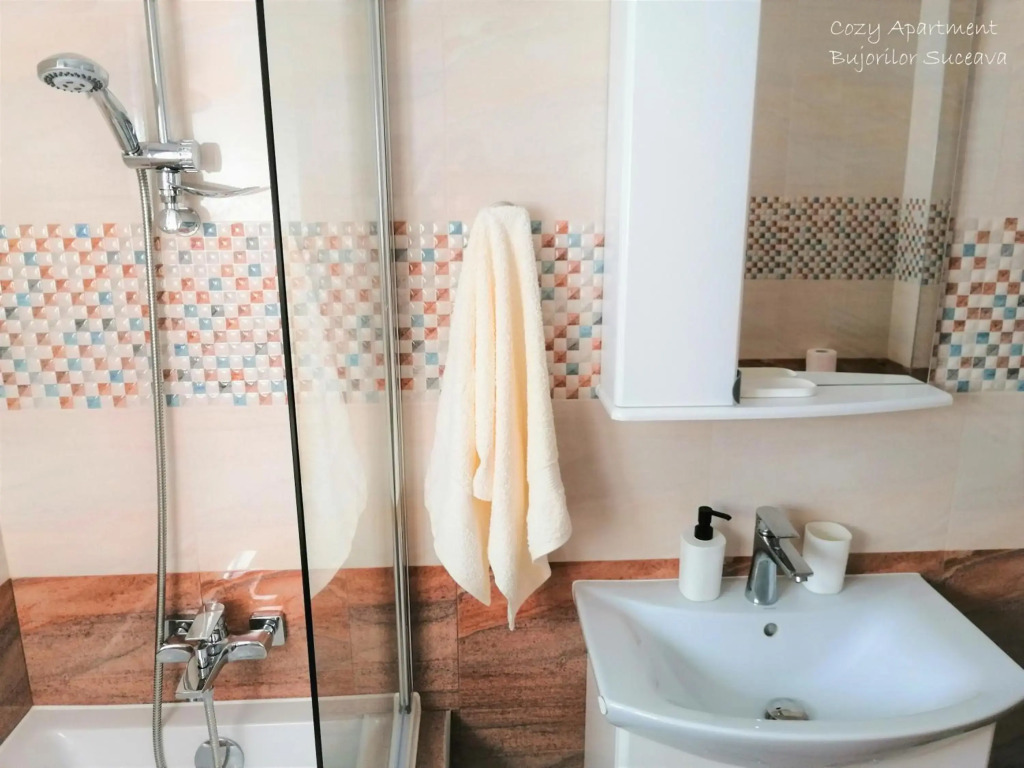 Cozy Apartment Bujorilor Suceava