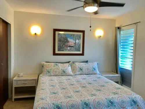 Village Manor D22