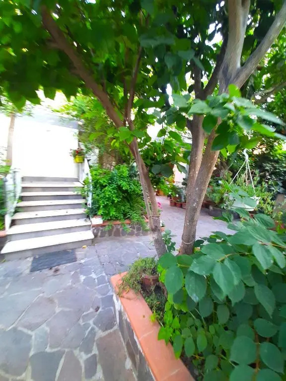 La casa di Antonella - Sweet House near Corricella