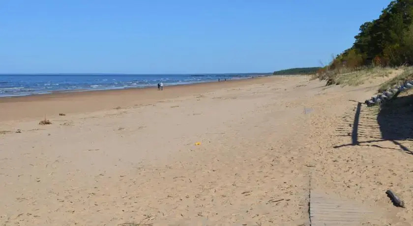 Vilde