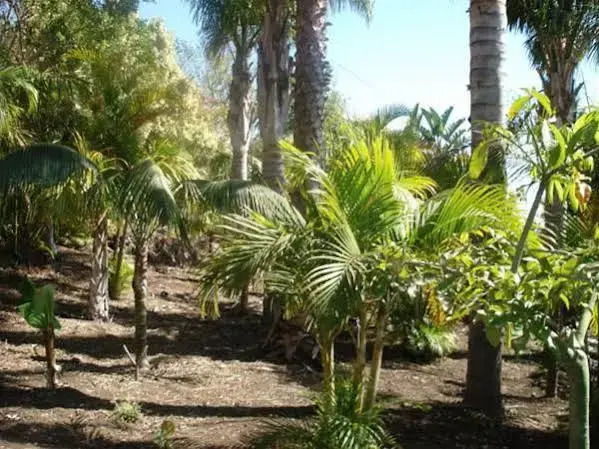 Apartamentos y Bungalows Finca Colón