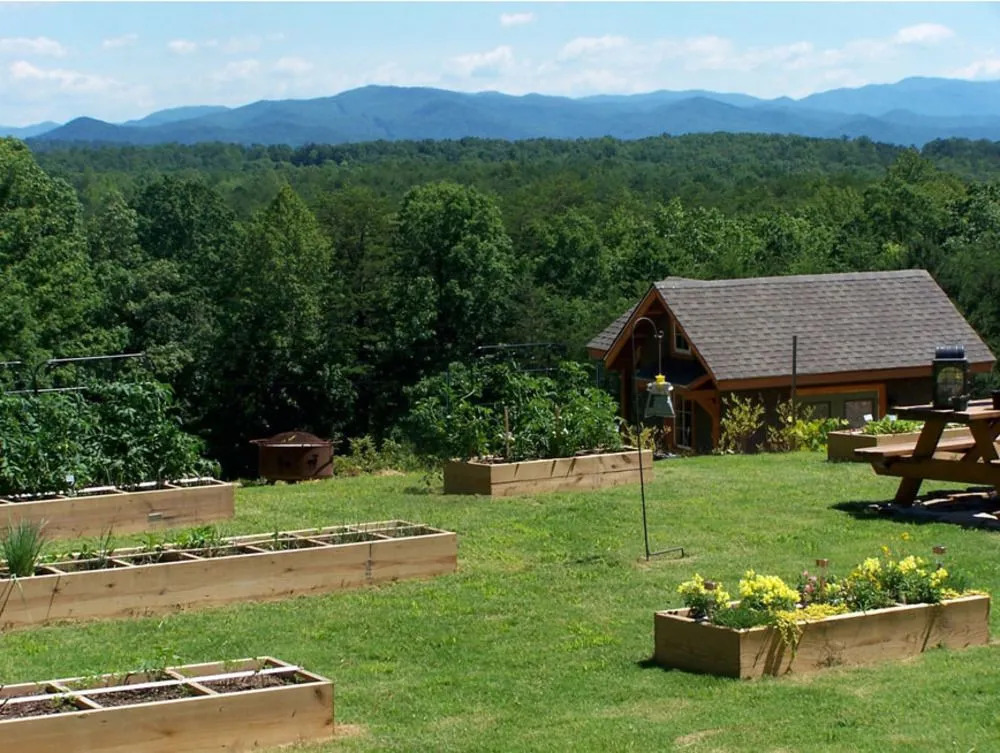 Three Pines View
