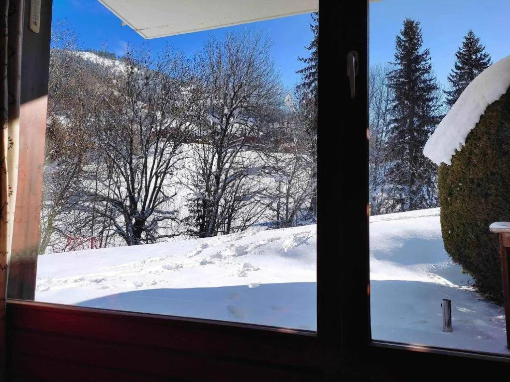 Appartement La Clusaz, 3 pièces, 6 personnes - FR-1-459-150