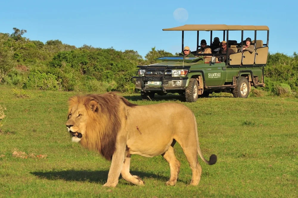 Shamwari Sarili Lodge