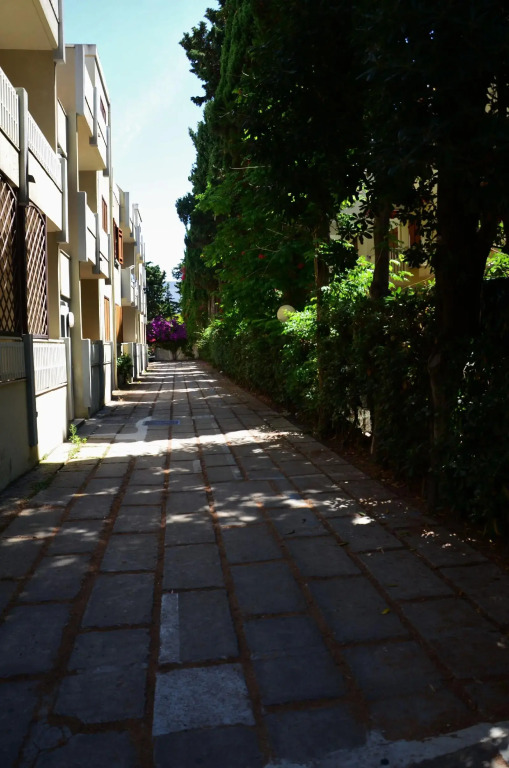 Residence Eucalipti