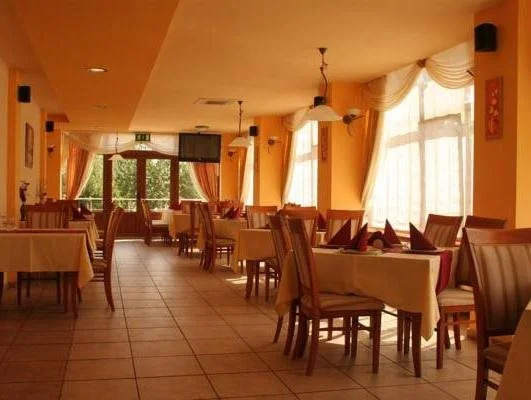 Pension Andronic