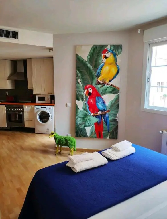 ATOCHA FRIDA HOUSE, Stylish apartment summer swimming pool close metro