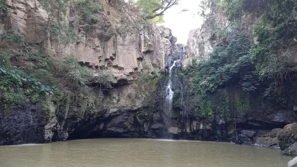 La Casa De Los Rivas