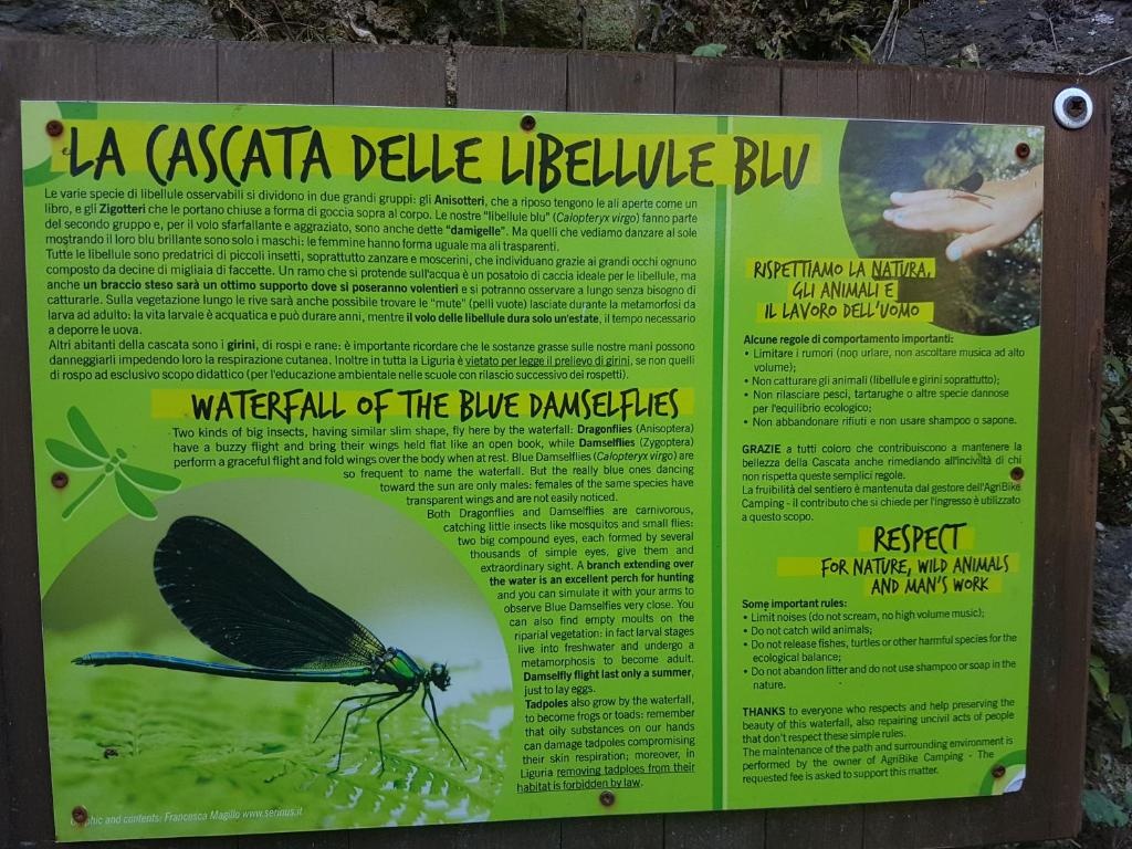 VILLA NATURA