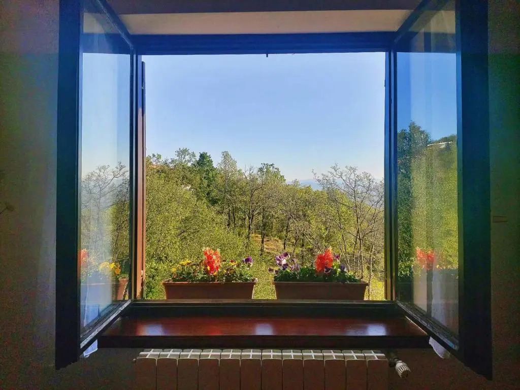 The most beautiful view
