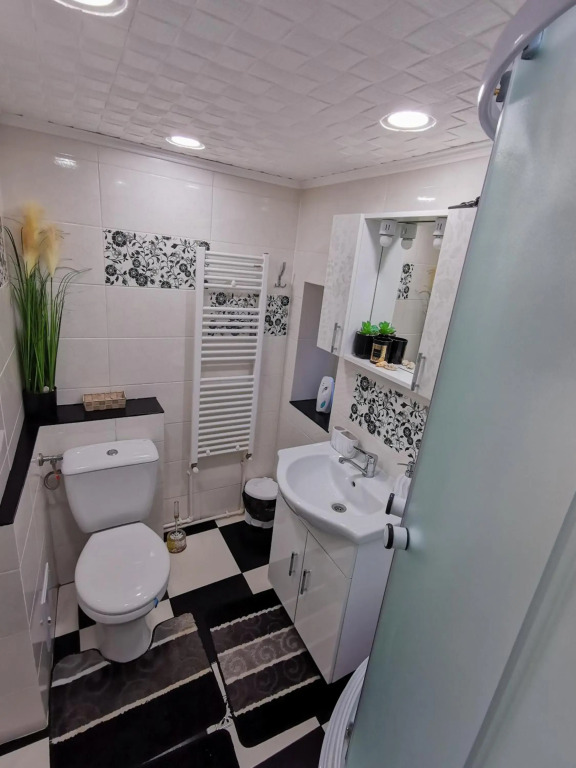 Apartament Dilama Sinaia