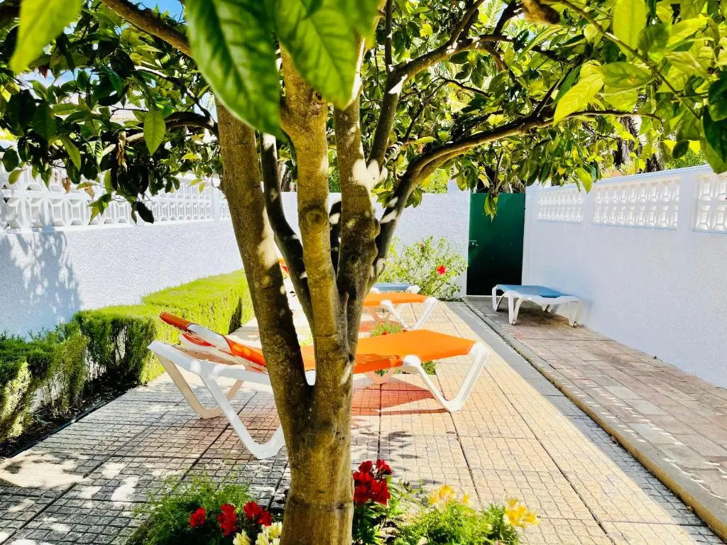 38, Vila Gaivota