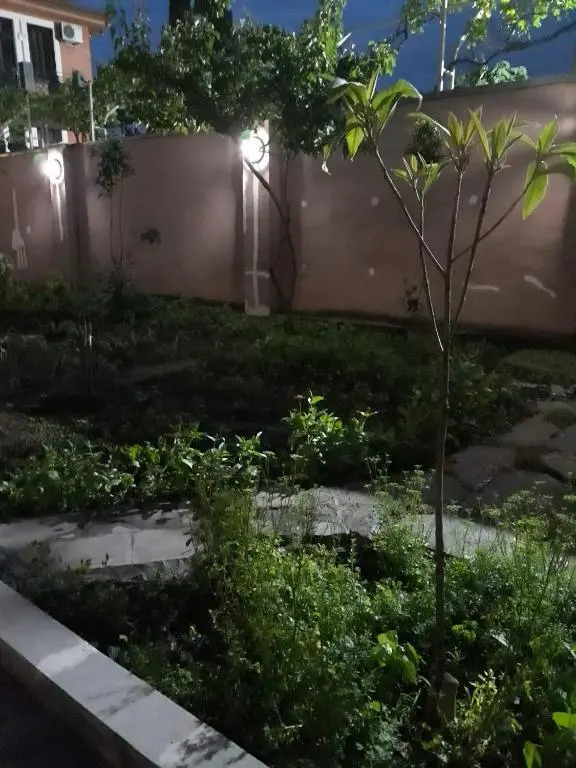 Ivettas House