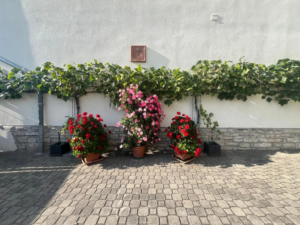 Zimmervermietung Barth