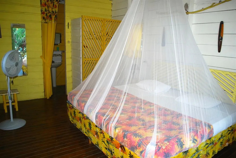 Hotel Jamaican Colors
