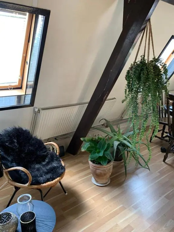City Guesthouse