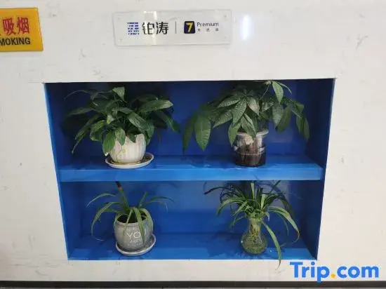 7 Premium(Shiyan Railway Station Store)