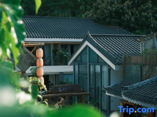 Under the Camphor Tree Guesthouse