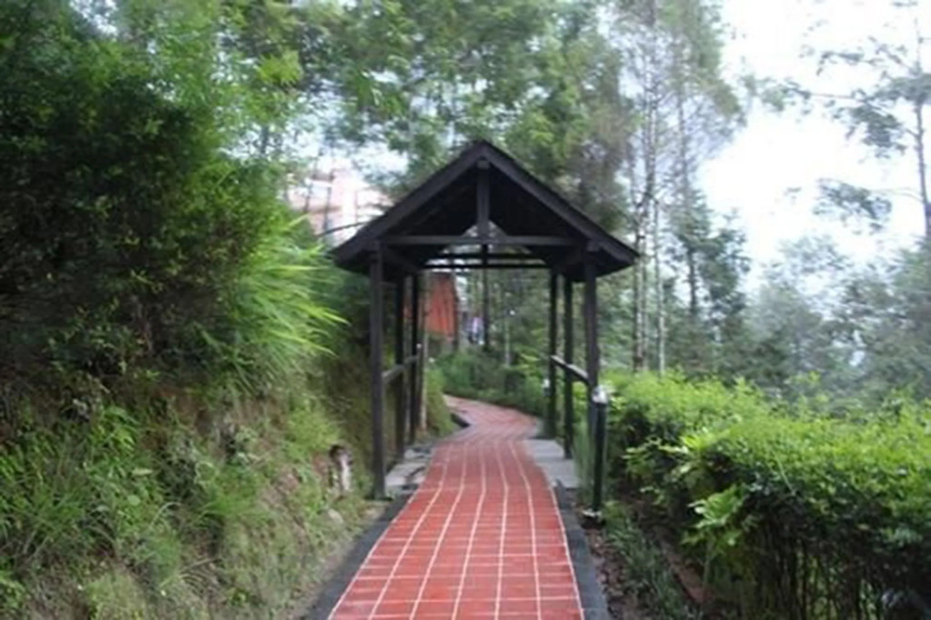 Hotel Chautari
