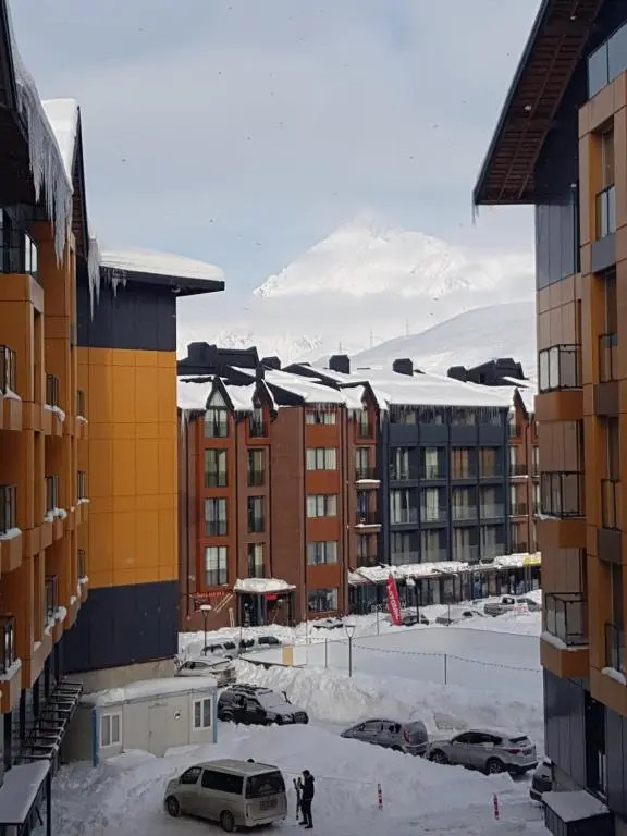 New Gudauri F4