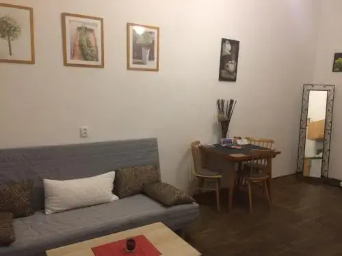 Apartment Ujezd
