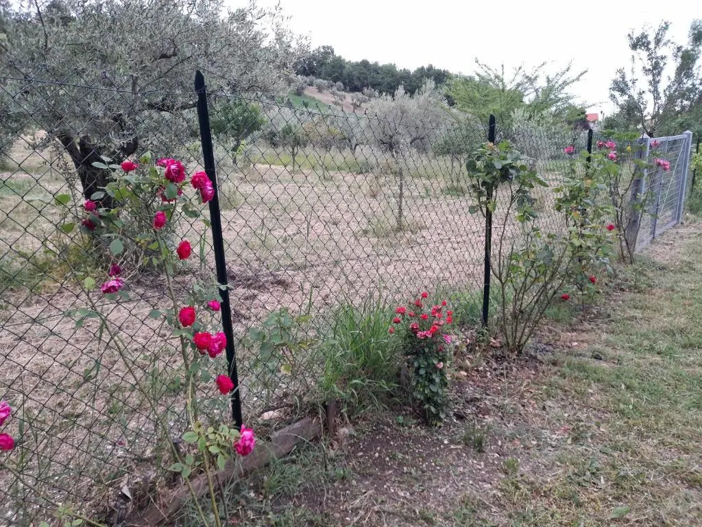 Masseria del Ponte