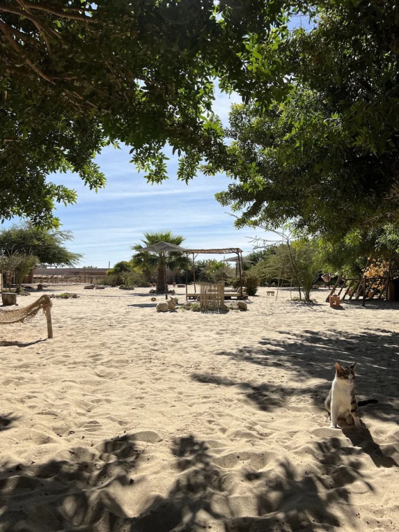 Dar Tawarta Guest House Dakhla