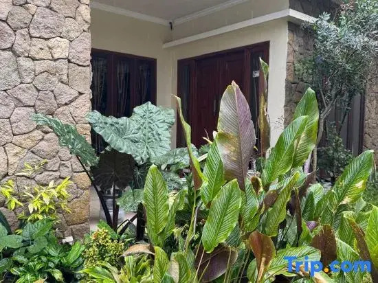 Rumah Cahaya Syariah