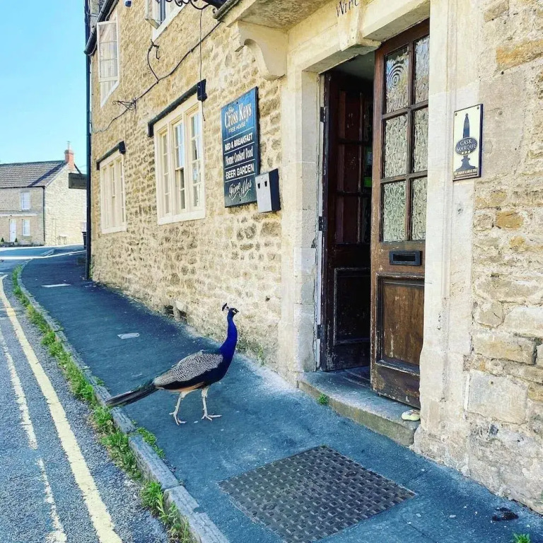 The Cross Keys