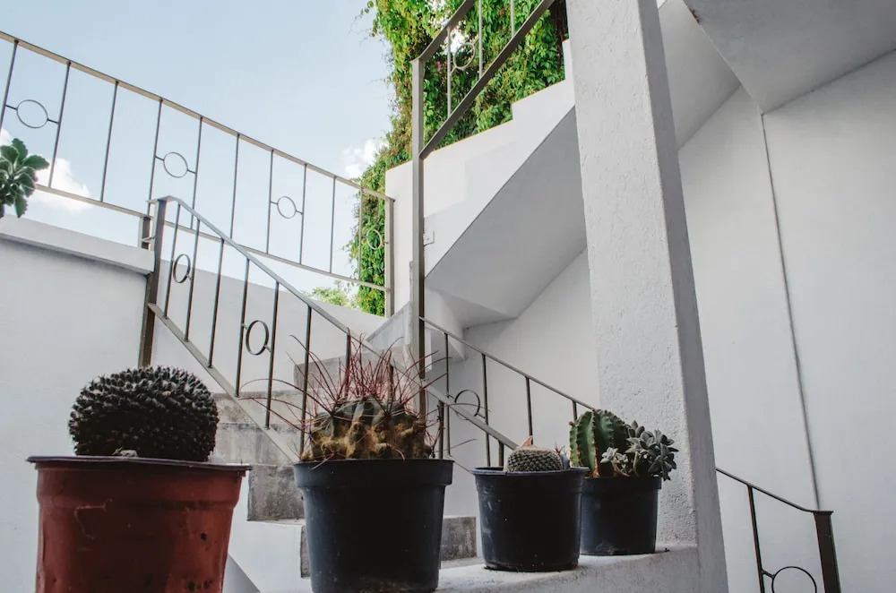 Casa Mariel
