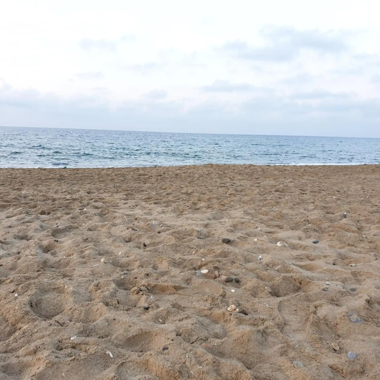 Hotel Kathrin Beach