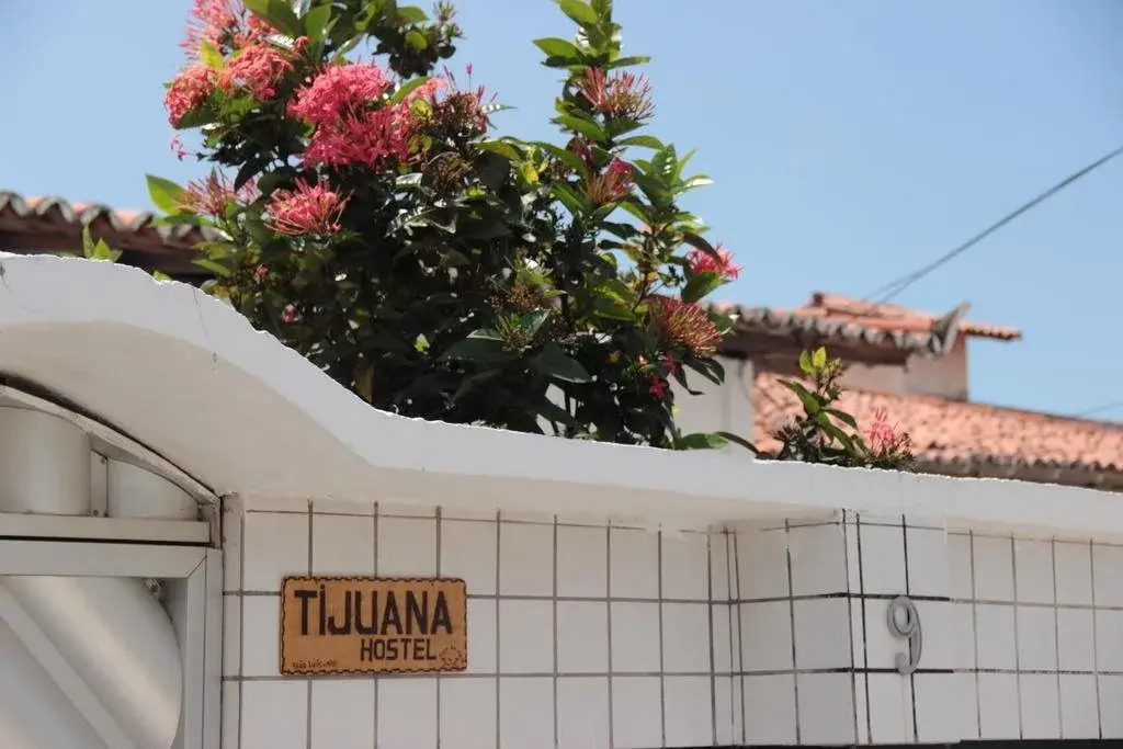Tijuana Hostel