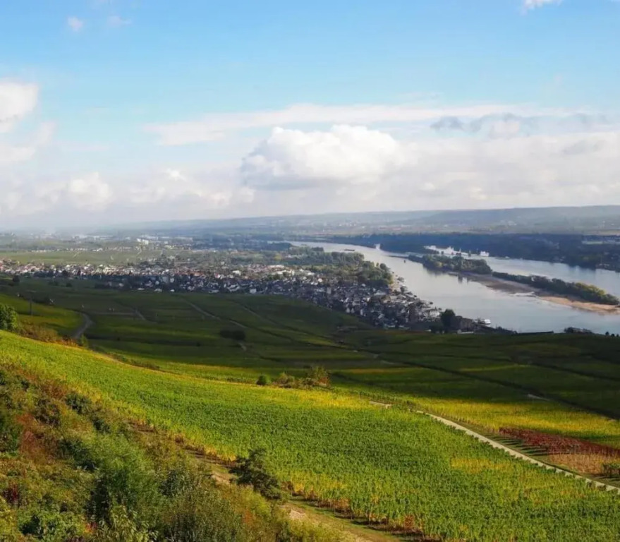 Gasthaus Weingut Stahl