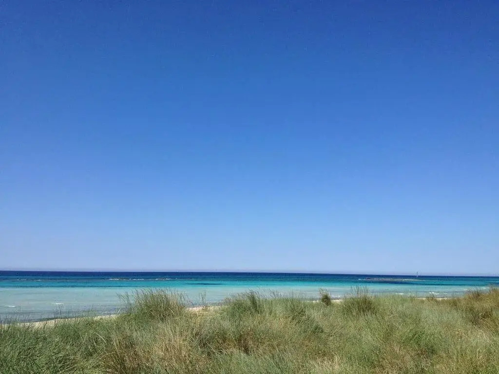 Marini Beachfront House