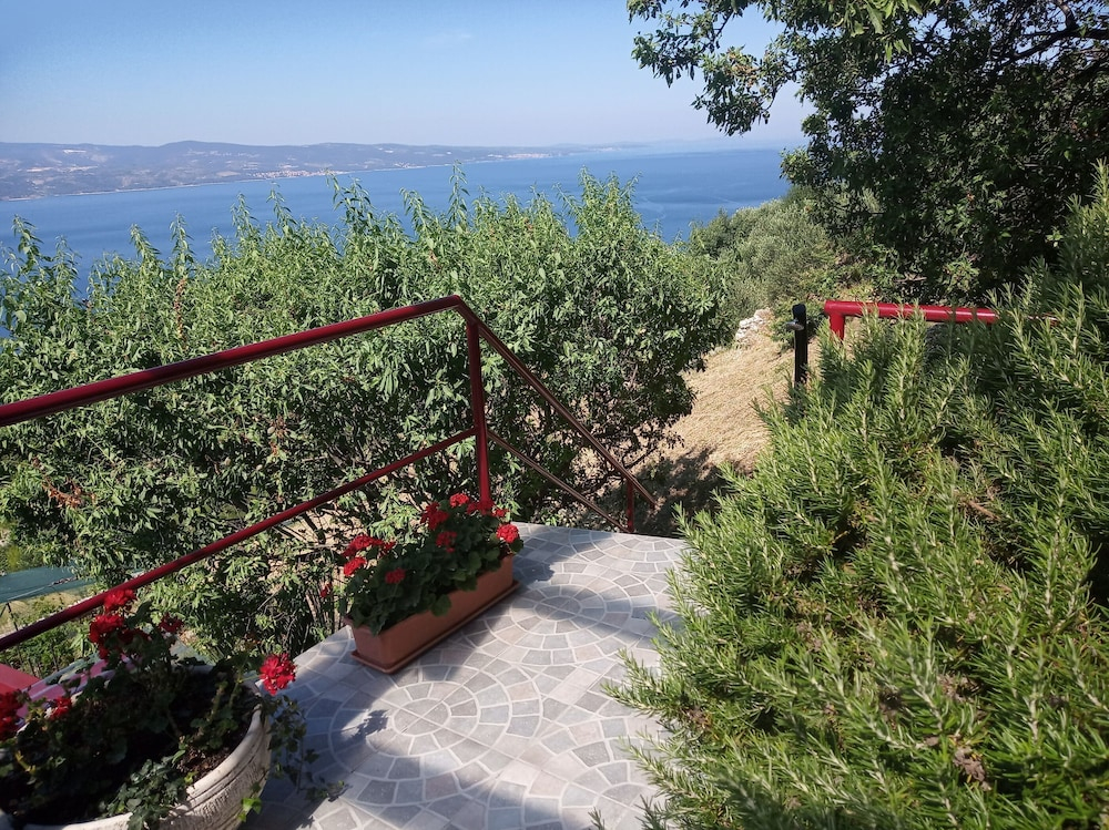 House Panorama