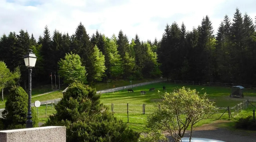 La Charbonnière
