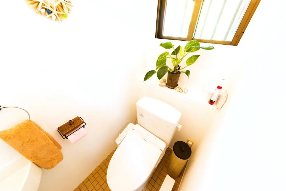 Palm Villa Ishigakijima yugafu