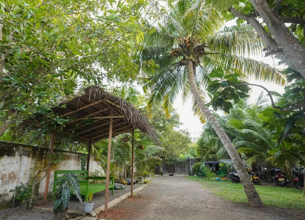 Ananas House