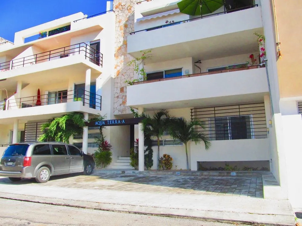 Aqua Terra Palm by Playa Paradise