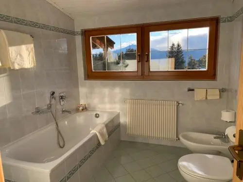 Hotel Gasthof Zum Grünen Baum
