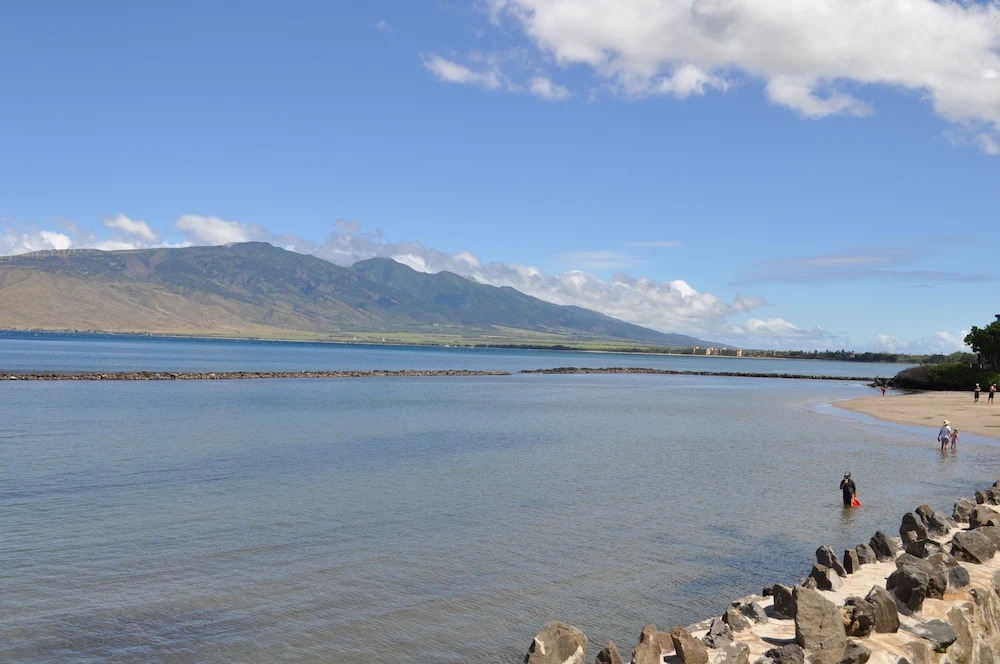 Kihei Bay Vista - Maui Condo & Home